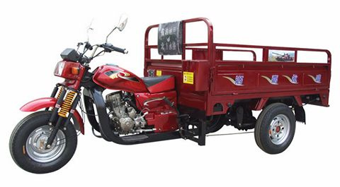 Tricycle (LJ200ZH-10501)