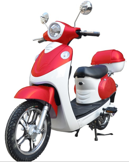 Electric Scooter (TDR48K72)