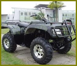 800CC EEC ATV (ATV800)