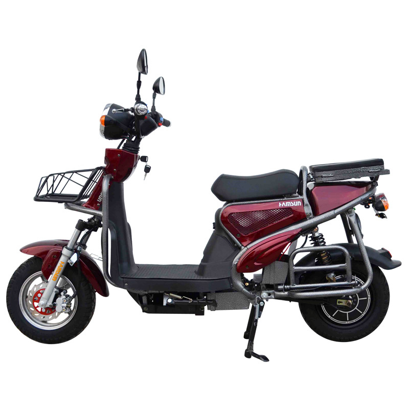 Electric Scoter (HSM-602)