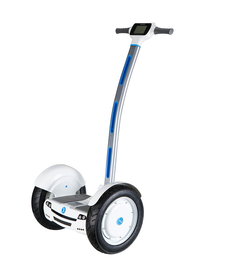2 Wheel Skateboard Electric Standing Scooter Hoverboard