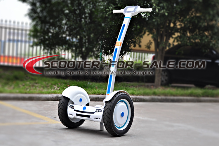 Best Price Two Wheels Electric Standing Chariot for Kids and Adults