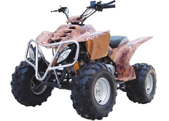 125cc QUAD/ATV with CE (FST-125-A)