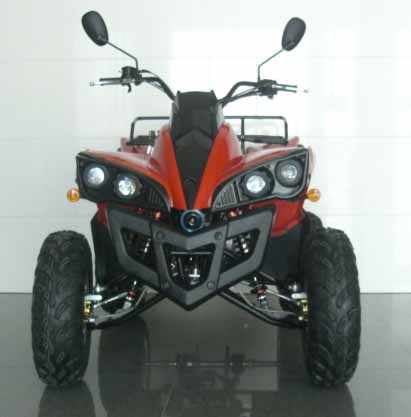 300cc EEC ATV (FA300S-8)