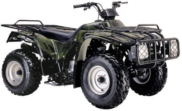 Cool ATV250