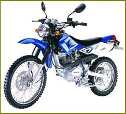 EEC Dirt Bike (EEC125GY)