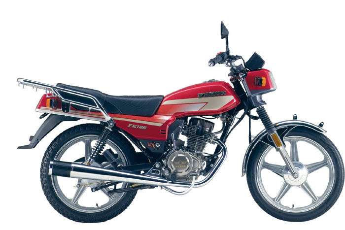 Motorcycle (FK125B)