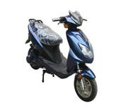 Electric Scooter FYEM-1004