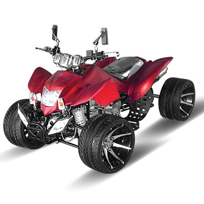110cc Lower Sport ATV Zc-ATV-17 (110cc)