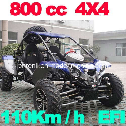 Beach Buggy 800CC 4x4 (RL800)