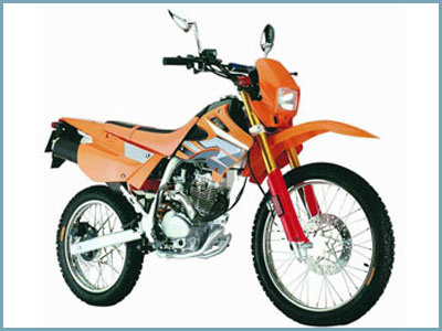 Dirt Bike(Speedo)