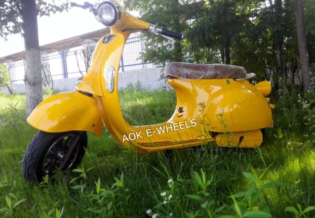1000W Disk Brake Electric Motorcycle (EM-006)