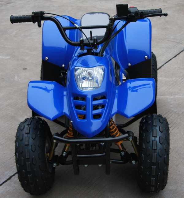 2015 China Supplier Manufacturing Quad Bike