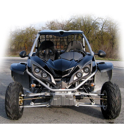 Zc-Gk-08 Go Kart (260CC)