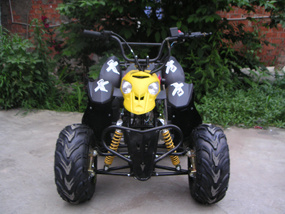 New Polaris 50cc ATV / Quad (ATV50-L)