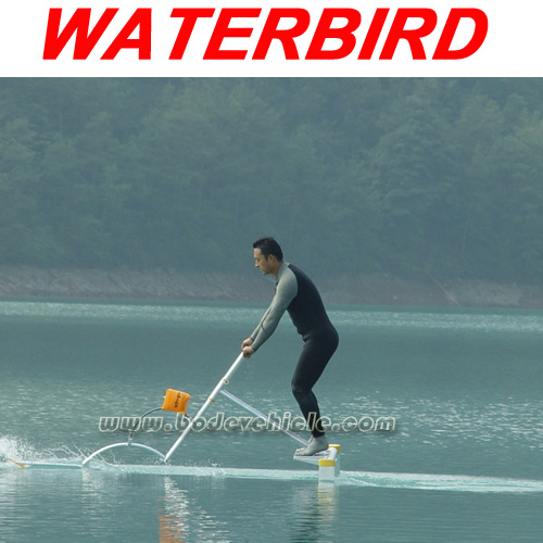 Water Sports/Water Exercise Machine/Water Toy/Water Bicycle