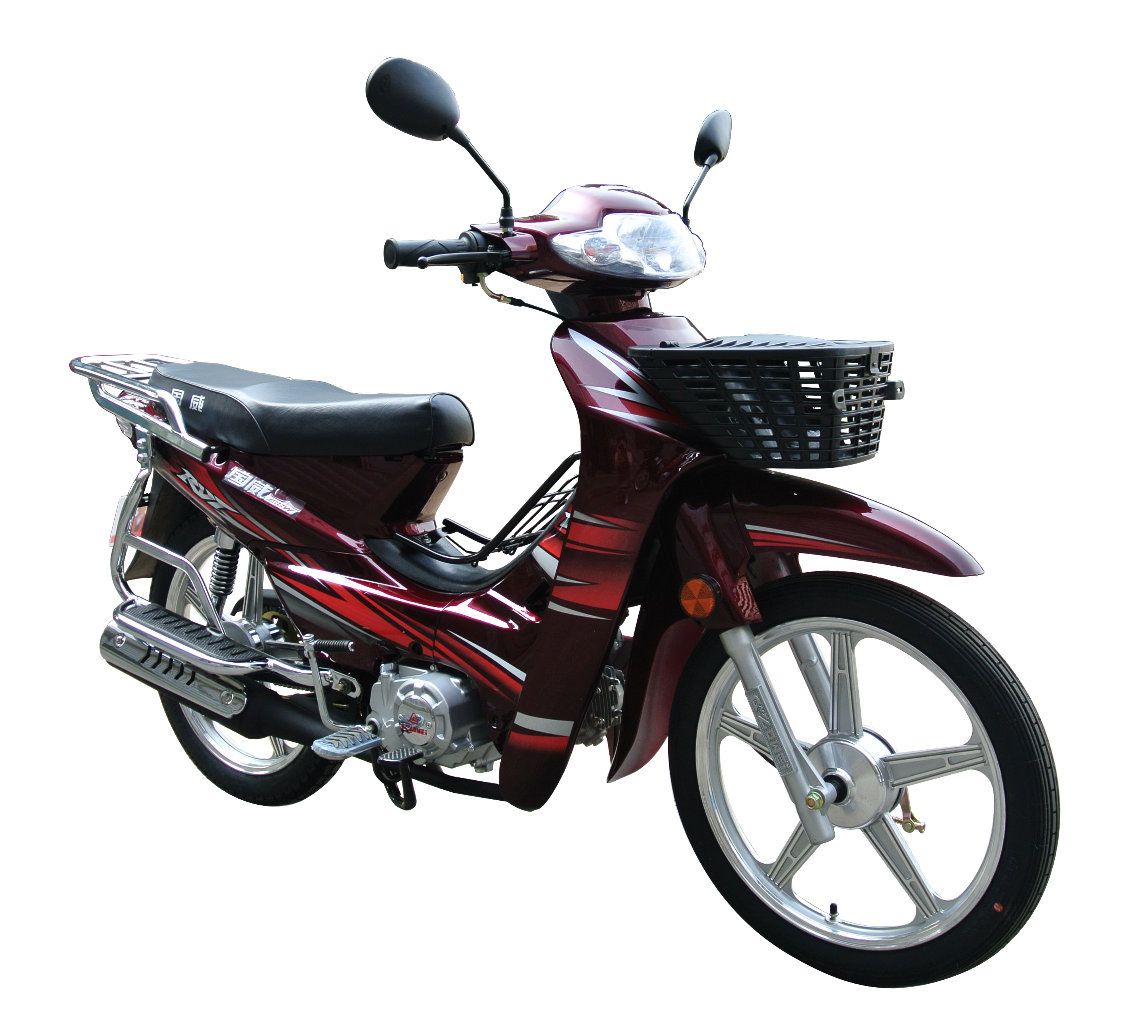 Motorcycle (GW110-D)