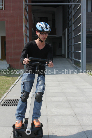 Small Size Electric Scooters (Robin-M1)