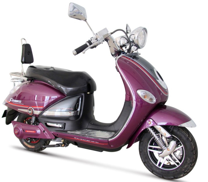 800 Watt 60V 20ah Lead-Acid Battery Electric Scooter (TDR316Z)