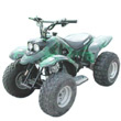 ATV (DF-ATV110-2M1)