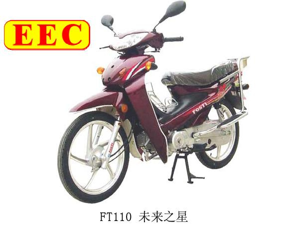 CUB Bike (FT100)