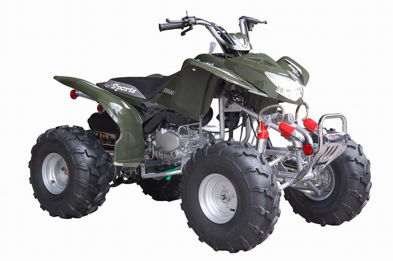EPA ATV(QH-250ST)