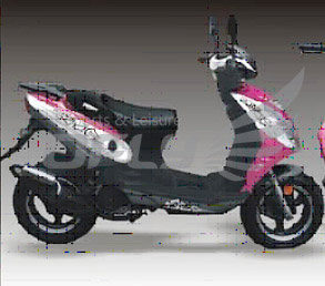 150CC Gas Motor Scooter (MS1519EPA)