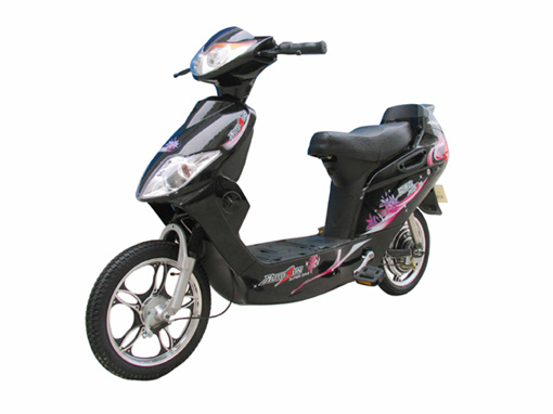 Electric Bike (TDR08611)