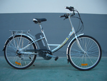 Electric Bike (24v, 36v)
