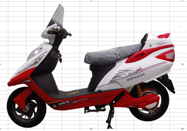 Electric Scooter DL012