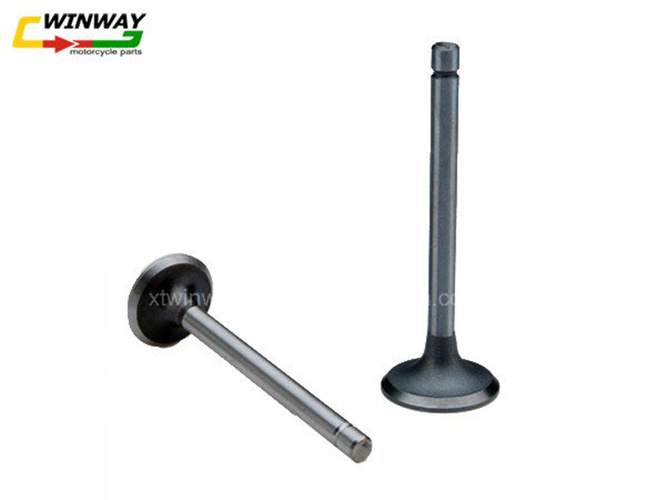 Ww-9501 Motorcycle Part, Motorcycle Valve,