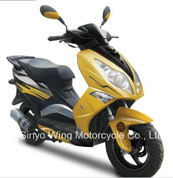 New Nice Good Power Gas Scooter