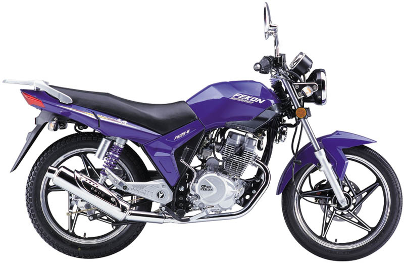 Motorcycle (FK125-8A WeiFeng)