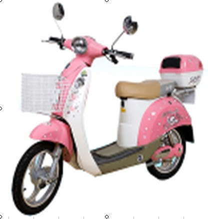 Electric Bicycle DL025