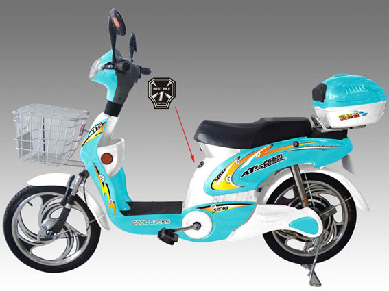 Electric Bike (TDR07168)