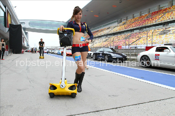 Two Wheel Green Travel Transporter, Electric Mobility Scooters