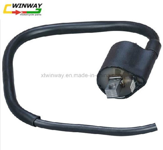 Ww-8301, Cg125 Motorcycle Part, Motorcycle Ignition Coil,