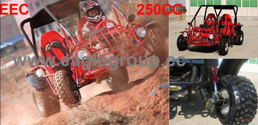 250cc Water Cooled Double Chain Drive Go Kart with EEC (YG250E-G)