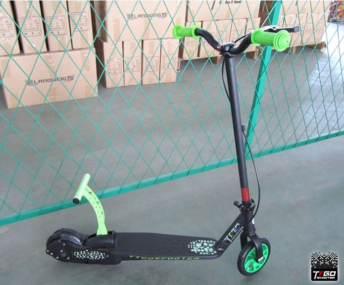 Pulse Ttgo and Kick 'n Go Scooter