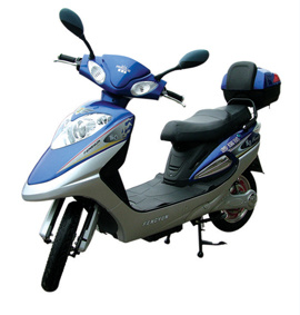 Electric Bicycle (TDR04Z)