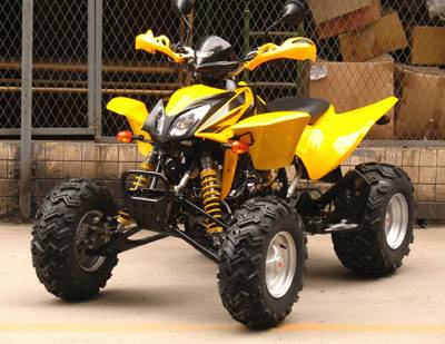 Sports Style with New Fashionable Look ATV 300cc (NS-24)