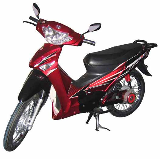Electric Bike (ZXDM004)