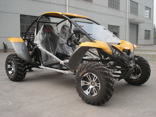 Renli 800cc Go Kart Dune Buggy