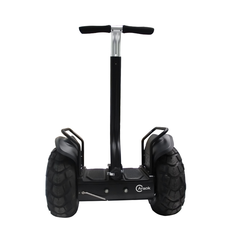 2016 Electric Vehicle Two Big Wheel Mobility Scooter