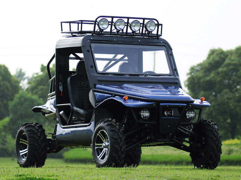 1100cc Dune Buggy 4X4 Go Cart