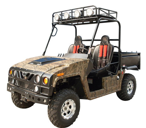 800cc UTV 4X4 Side by Side