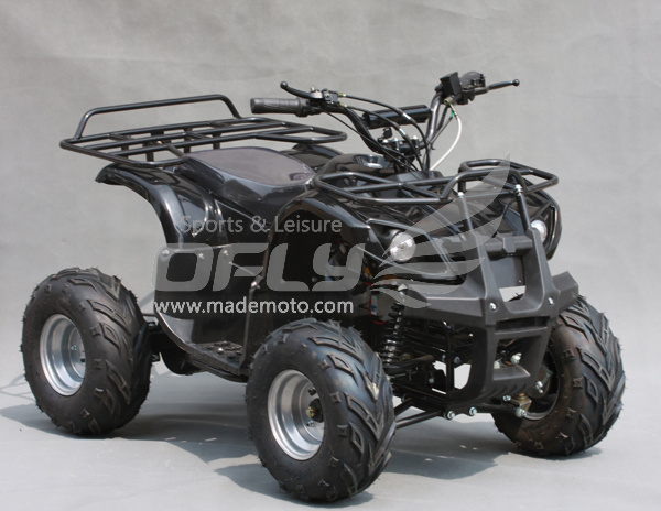 Electric Quad Bike (EA0801)