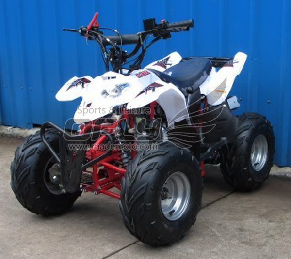 Christmas Gift Mademoto Quad Biking
