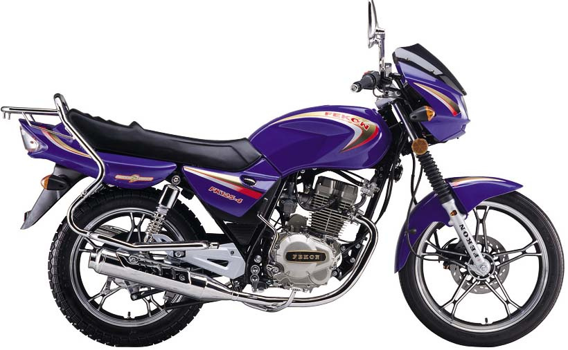 Motorcycle (FK125-4 Xianglong)