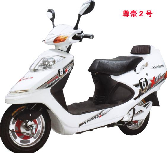 E-Scooter (YRDZ28Z)